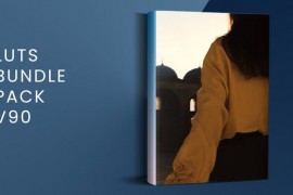LUTs Bundle Pack V90 | FCPX 49858439