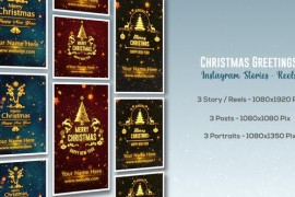 Christmas Greetings - Instagram Stories 49501663