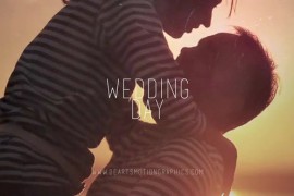 Wedding Day Premiere Pro 42025218