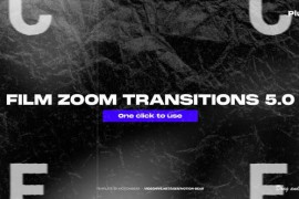 Zoom Transitions 5.0 43751619