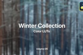 Winter LUTs Collection Vol. 06 49984059