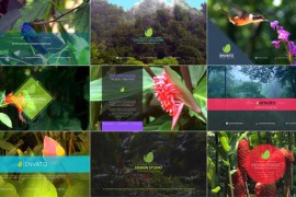 Logo Intro Pack Premiere Pro 49783383