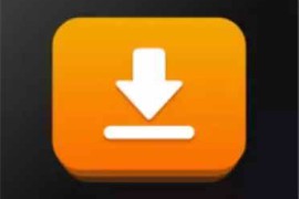 iDownerGo v9.4.0 macOS TNT