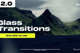 Glass Transitions 2.0 47307750