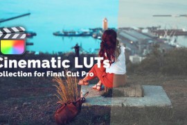 Cinematic LUTs Collection 49998309