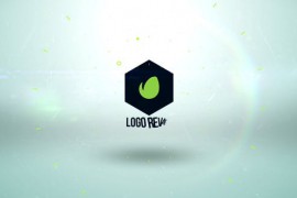 Modern Logo Reveal 14 Premiere Pro 48329248