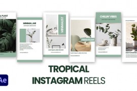 Tropical Instagram Reels 47148520