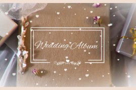 Wedding Day Album Opener 32079061