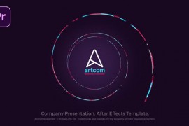 Company Presentation - Company Profile 49985954