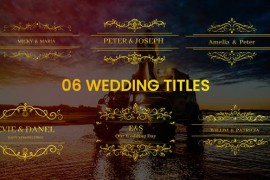 Golden Fonts Wedding Titles 44200705