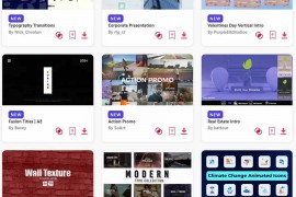 2024.1.22.43.Set.AE.Templates