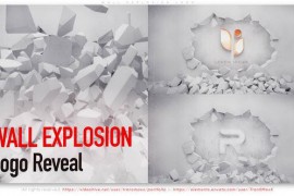 Wall Explosion Logo 51635390
