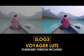 Slog3 Voyager and Standard LUTs 51062426