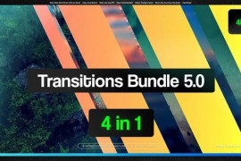 Transitions Bundle 5.0 46330068