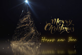 Christmas Logo Reveal 48969826
