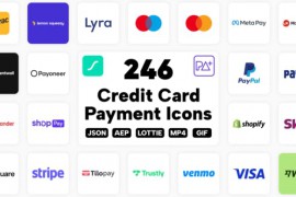 246 Credit Card & Payment Lottie Icons 45183044