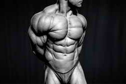 Udemy – Advance Zbrush Bodybuilder Anatomy Tutorial Vol. 2