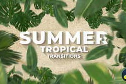 Free Download:Summer Travel Tropical Palm Leaf Transitions Davinci Resolve 63575707