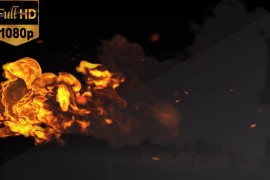 Fire Logo Reveal 20692353