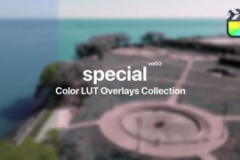 Special Color Presets for Final Cut Pro Vol. 03 48290580