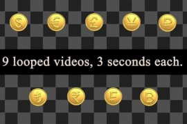 Flipping Gold Coins Pack 52040960