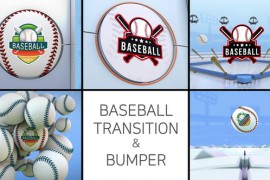 Baseball Logo Transition & Bumper 47739285