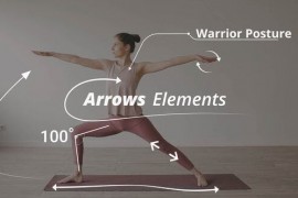 Arrows Pack 48301190