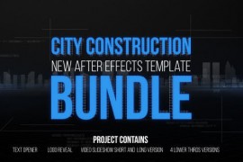 City Construction Bundle 10311373