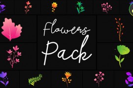 Flowers Pack for DaVinci Resolve 50743702
