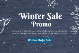 Winter Sale Promo 49459874