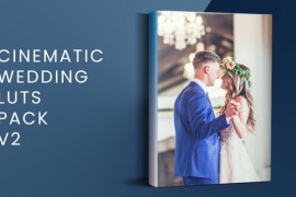 Cinematic Wedding LUTs Pack V2 51230559