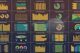 Minimal Infographic MOGRT 24230269