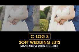 C-Log3 Soft Wedding and Standard LUTs 51146136