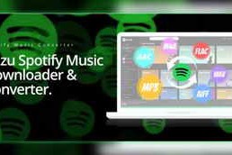 Pazu Spotify Music Converter v4.9.5 (x64) Multilingual