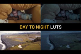 Day to Night LUTs 50299529