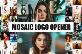 Mosaic Logo Intro I Multi Screen Opener 45274373