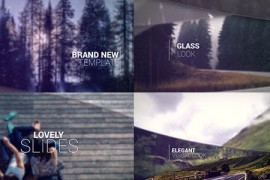 Lovely Slides 12535497
