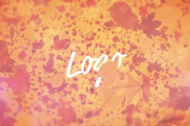 Falling Leaves Logo Reveal 22602787