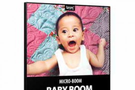 Boom Library Baby Boom WAV