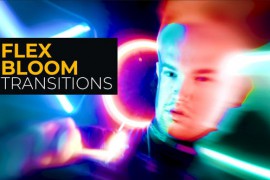Flex Bloom Transitions | Premiere Pro 45942794