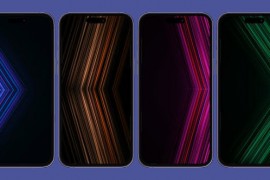Vertical Lines Background Pack 50607170