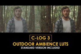 C-Log3 Outdoor Ambience and Standard Color LUTs 51169951