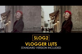 Slog2 Vlogger and Standard LUTs 42789824