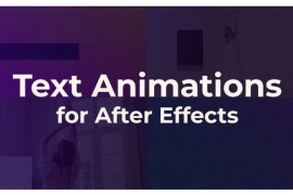 Text Animation 46702099