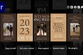 Wedding Instagram Reels 48461343