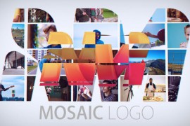 Mosaic Logo Reveal 46556344