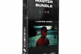 VincentColorFilm – THE MASTER BUNDLE