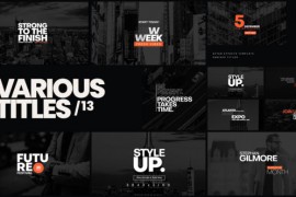 Various Titles 13 42551302