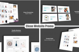 Clean Website Promo 40506978