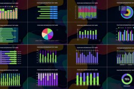 Minimal Infographic V2 31288739